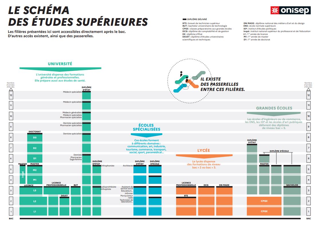 Schéma d'études
